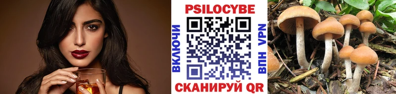 blacksprut вход  Сясьстрой  Псилоцибиновые грибы GOLDEN TEACHER 