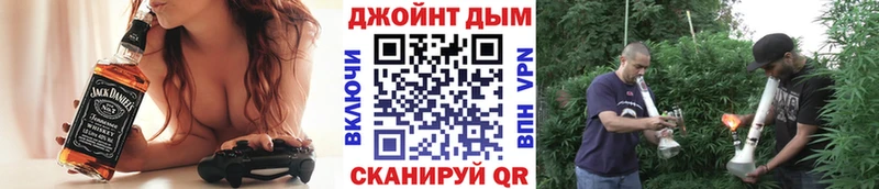 Конопля индика  Сясьстрой 